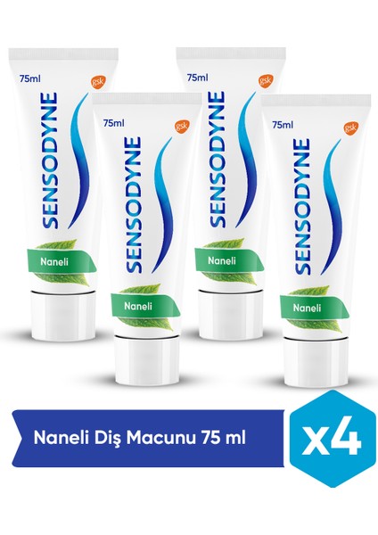 Naneli Diş Macunu 75 ml x4