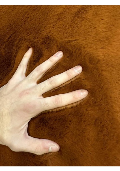 Tavşan Tüyü Post Kesim Premium Kalite Tüy Dökmez Halı Kiremit fırsatları