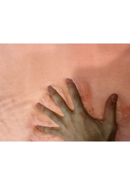 Tavşan Tüyü Post Kesim Premium Kalite Tüy Dökmez Halı Şeker Pembe fırsatları