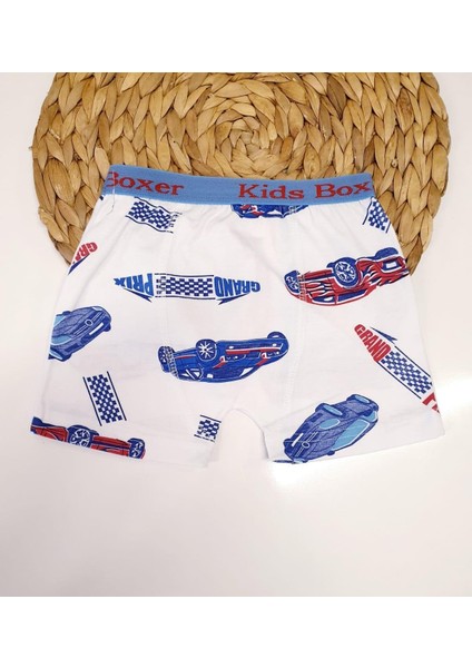 Desenli Erkek Çocuk Boxer - Sdf