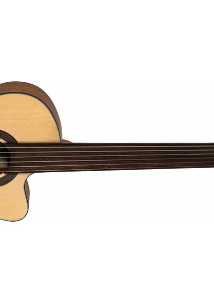 VG250CPDS Perdesiz Klasik Gitar ( Pena ve Taşıma Kılıfı )