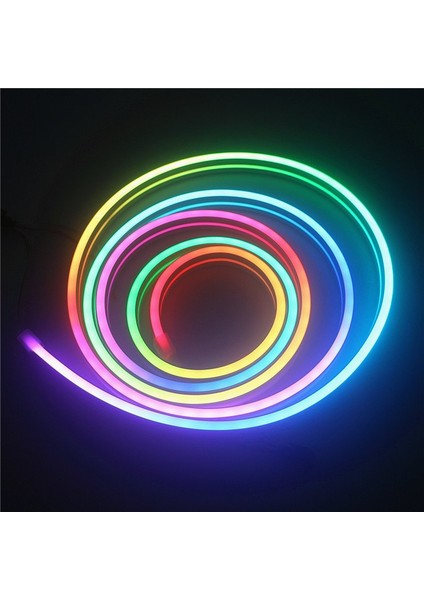 12 Volt Rgb Pixel Neon LED 10X20MM 1s (20 Metre)