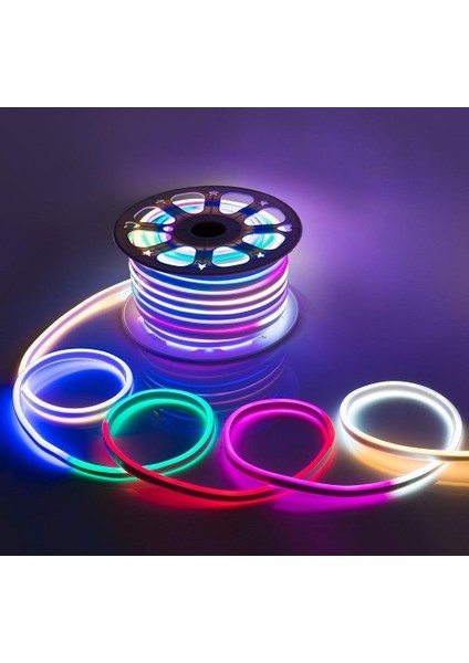 12 Volt Rgb Pixel Neon LED 10X20MM 1s (20 Metre)