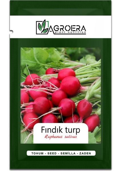 Fındık Turp Tohumu 500 Adet