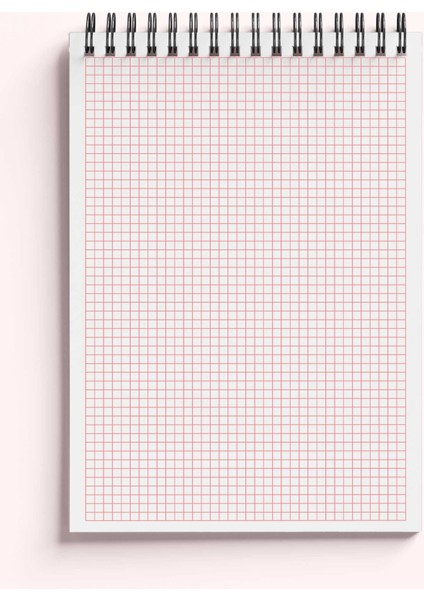 A5 Boyutunda Sarah Kay Kareli Defter Karton Kapak Spiralli Defter Notebook 15 x 21 cm