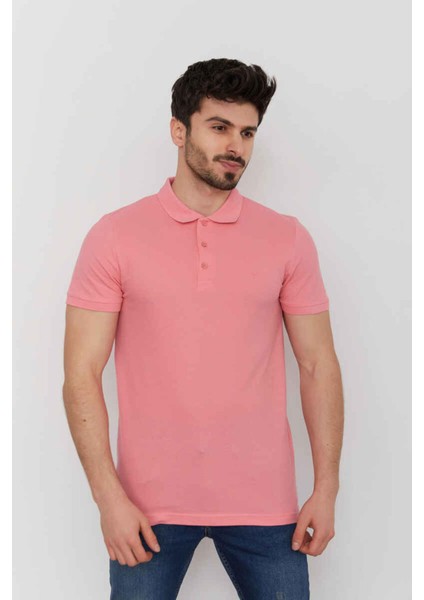 4613 Erkek Polo Pike T-Shırt10