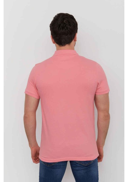 4613 Erkek Polo Pike T-Shırt10 modelleri