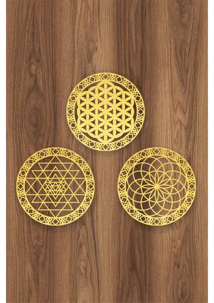 Yaşam Çiçeği,sri Yantra, Torus 3 Lü Set Duvar Dekoru Tablo fiyatları