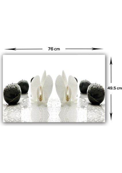 Beyaz Orkide Siyah Oniks | Ocak Arkası Koruyucu | 49,5cm x 76cm modelleri