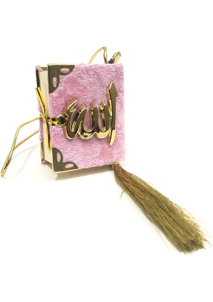 Hediyelik Kutulu Mevlit Hediye Seti Pembe (Mini Kuranı Kerim+Inci Tesbih 99+Taşlı Zikirmatik) fiyatları