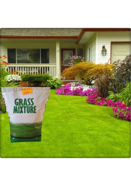 Grassmixture 6 Farklı Çim Tohumu Karışımı (2 Kg)