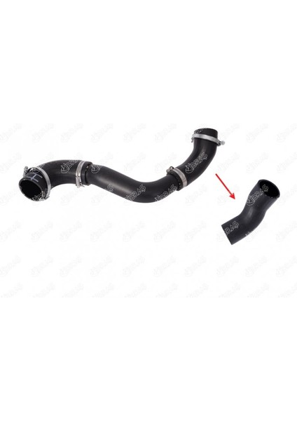 Turbo Hortumu Plastik Boru Hariç Ok Ile Gösterilen Hortum Ford C-Max Iı (Dxa/cb7, Dxa/ceu) Ford Focu