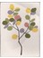 Meyveler Limonlar Yapraklar Pastel Renkler Modern Poster P-001767 1
