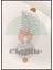 Doğa Bitki ve Şekiller Pastel Renkler Modern Poster P-004248 1