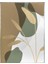 Yapraklar Karışık Renkler Illüstrasyon Modern Poster P-001592 1