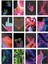 Colorfull Pul Koleksiyonu Sticker Seti (16 Adet) 1