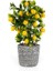 Rüzgar Yapay Çiçekçilik 35 cm Limon Ağacı 3