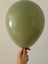 12'' Okaliptus Rengi Balon 20 Adet 2