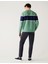 Regular Fit Chino Pantolon10 4