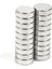 6 x 2 mm Çap: 6 Mm, Kalınlık : 2 mm Yuvarlak Neodyum Mıknatıs 2