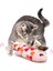 Groovy Fish Catnipli Kedi Oyuncağı, Pembe 3