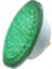 32 Watt Yeşil Smd LED Havuz Ampulu / Par 56 1