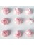 Saten Tomurcuk - Minik Boy - Pembe 10 Adet 3