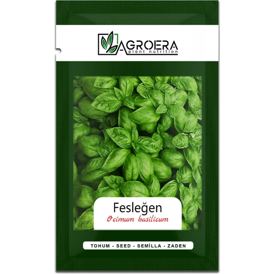Yeşil Fesleğen/reyhan Tohumu-Geniş Yapraklı 250 Adet