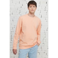 ALTINYILDIZ CLASSICS Erkek Yavruagzı Standart Fit Normal Kesim Bisiklet Yaka Sweatshirt