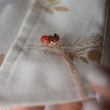 Engingold 14K Altın Uğur Böceği Figürlü Kolye