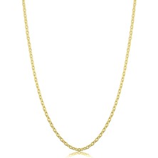 Encili Silver Cmd Kadın Gümüş Forse Zincir 24 Ayar Altın Kaplama Hayalet Kolye Özel 1.1mm Mücevher