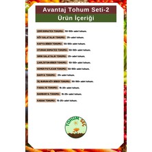 Avantaj Tohum Seti-2, Toplam 750+ Adet Sebze Tohumu, 12 Çeşit Sebze Tohumu