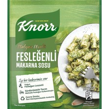 KNORR FESLEĞENLİ MAKARNA SOSU 50G