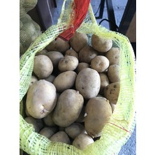 Karahasanoğlu Tarım Melodi Sertifikalı Tohumluk Patates 5 kg