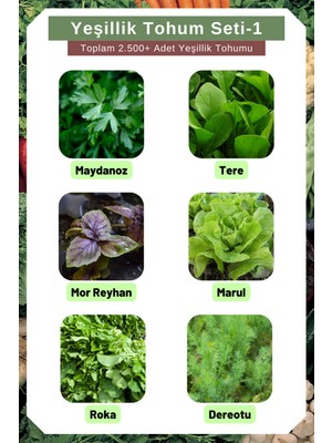 Yeşillik Tohum Seti-1, Toplam 2.500+ Adet Yeşillik Tohumu, 6 Çeşit Yeşillik Tohumu