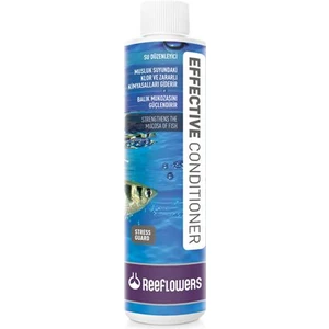 Reeflowers Effective Conditioner Akvaryum Su Düzenleyicisi 50 Ml.