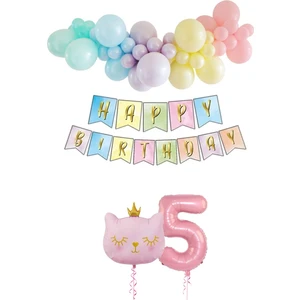 Bi Dolu Mutluluk Kedi Temalı Unicorn Doğum Günü Seti Makaron Balon  Parti