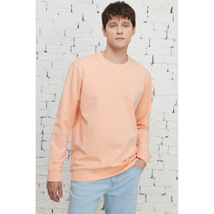 ALTINYILDIZ CLASSICS Erkek Yavruagzı Standart Fit Normal Kesim Bisiklet Yaka Sweatshirt