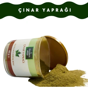 Modern Aktar Doğal Öğütülmüş Çınar Yaprağı 40Gr