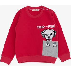 Kız Çocuk Sweatshirt Köpek Baskılı 2-6 Yaş, Fuşya
