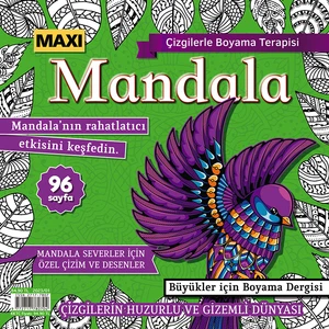 Mandala Çizgilerle Boyama Terapisi 2023/01