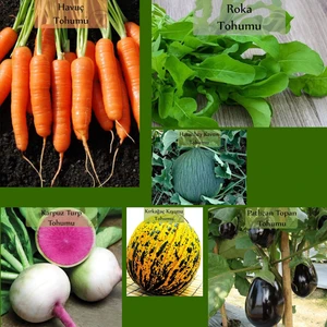 Zencefil Organik 6 Paket Tohum NO15 Havuç Tohumu Roka Kara Kavun Topan Patlıcan Karpuz Turp Kırkağaç Kavun Tohumu