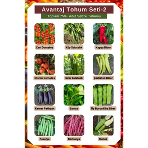 Avantaj Tohum Seti-2, Toplam 750+ Adet Sebze Tohumu, 12 Çeşit Sebze Tohumu