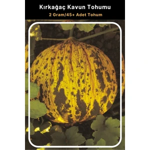 Tohum Seç Kırkağaç Kavun Tohumu, 2 Gram/45+ Adet Tohum