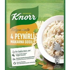 KNORR DÖRT PEYNİRLİ MAKARNA SOSU 50G