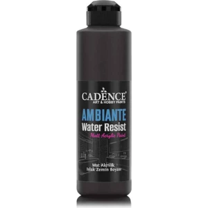 Ambiante Islak Zemin Boyası AW24 Siyah 250ML + Katalizör 10GR