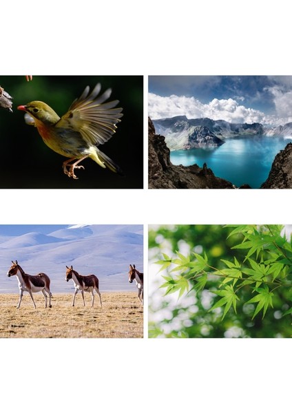 Yüksek Güç Yüksek Tezahür Tüp Küçük Astronomik Teleskop Siyah (Yurt Dışından) fırsatları