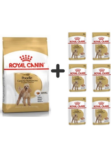 Poodle Adult Köpek Maması 3 kg + 6 Adet Yaş Mama