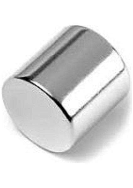 20 x 20 mm Çap: 20 Mm, Kalınlık : 20 mm Yuvarlak Neodyum Mıknatıs