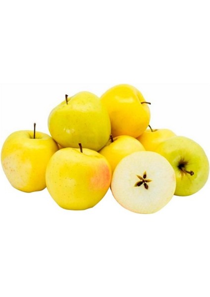 Golden Elma(Sarı Elma) 3 Yaş Aşılı Tüplü